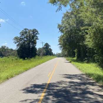 44.3 Acres - Conecuh Co. - The Brantley Switch Tract