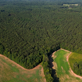 112+/- acres - Chester Co - Willis Rd