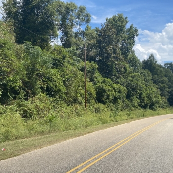 11.36 Acres - Monroe Co. -  Monroe Station Road Tract