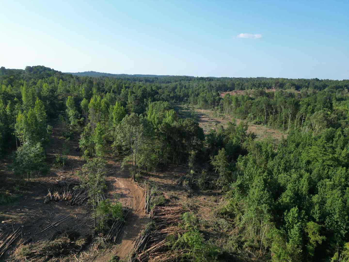 P1470129.JPG
