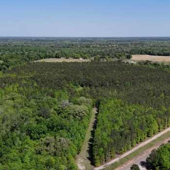 61+/- Acres - Houston County, AL - September Tract