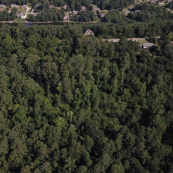 42 +/- Acres - Jefferson County, AL - S Shades Crest Tract