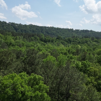 War Eagle Drive - 10.28 Ac - Jefferson County, AL