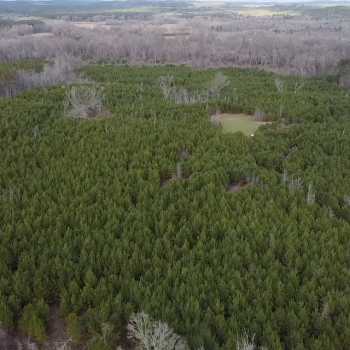 108 +/- Acres - Fayette County - County Line Tract