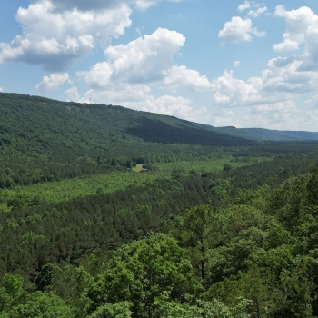 87.36 Acres - Dekalb County, Alabama - Lookout Mountain Retreat