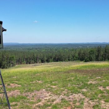 244 Acres - Blount County - Premier Hunting Ground