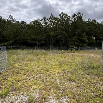 0.5 Acre - Wigham Circle, Tuscaloosa - Tuscaloosa County