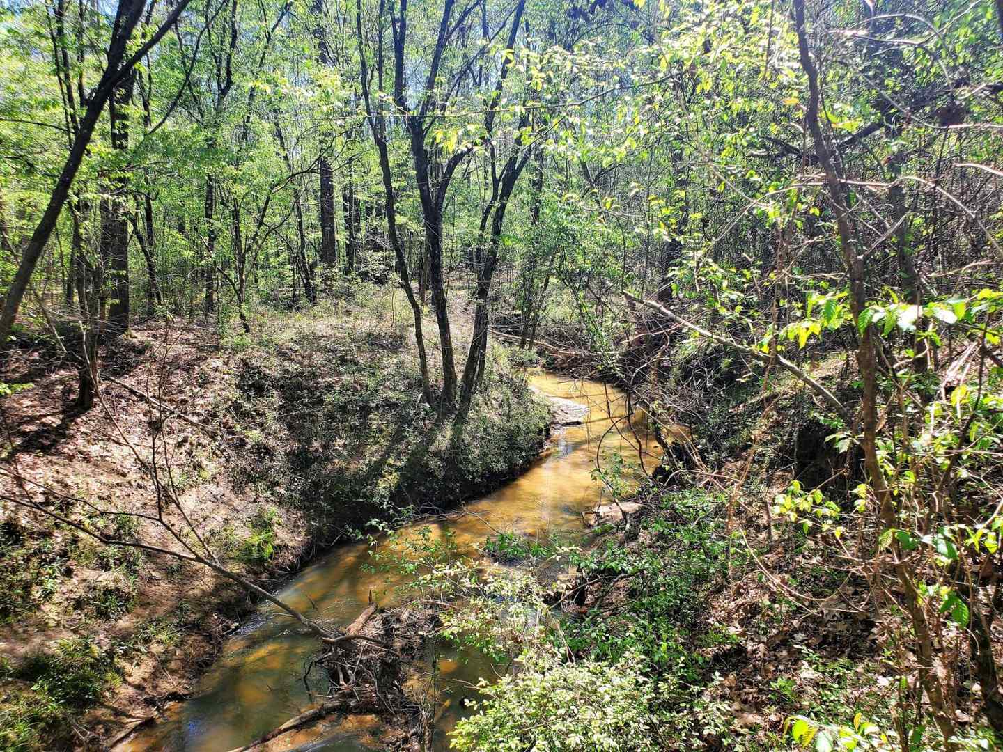 Creek