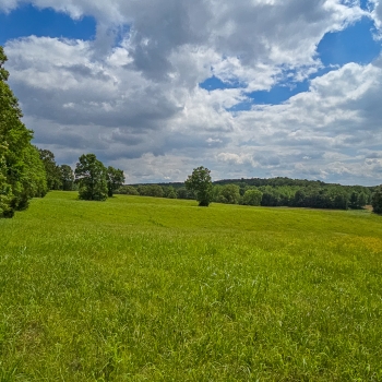 11.15 acres - Madison County - Bear Creek Tract 1