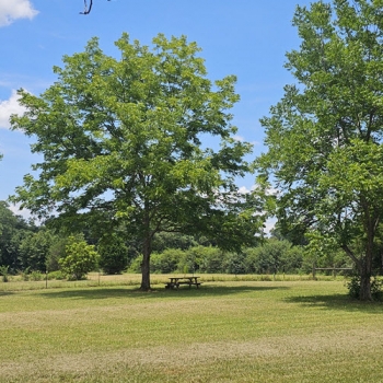 9.9 ac Campbellton Old Schoolhouse Farm Tract