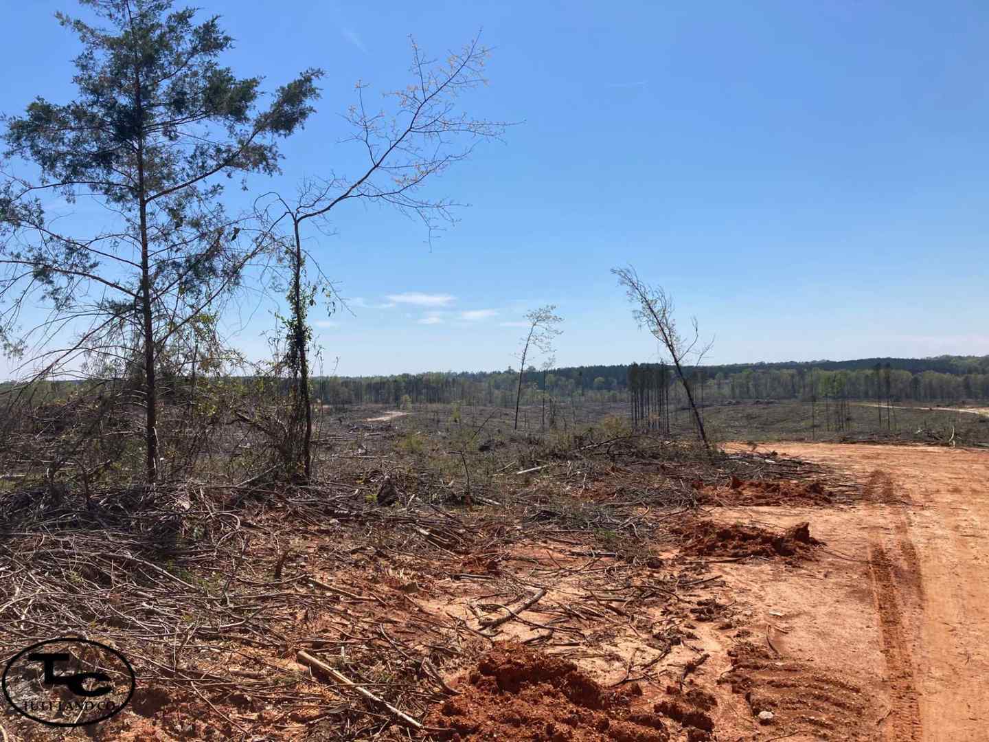 185 +/- Acres - Hale County, AL - Sawyerville Tract 2
