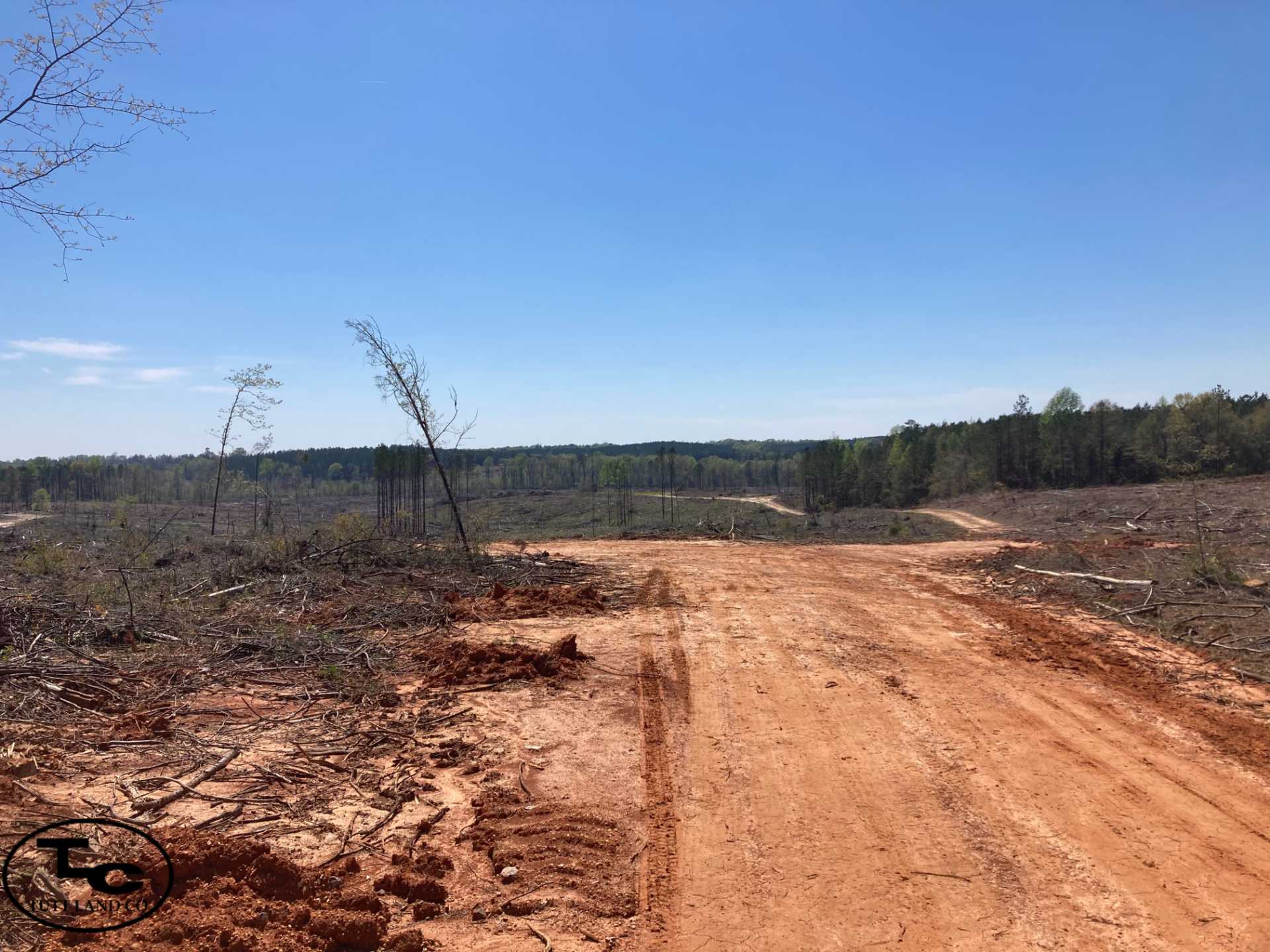 185 +/- Acres - Hale County, AL - Sawyerville Tract 2