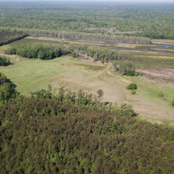 206 +/- Ac - Marengo County - Campground Tract #1