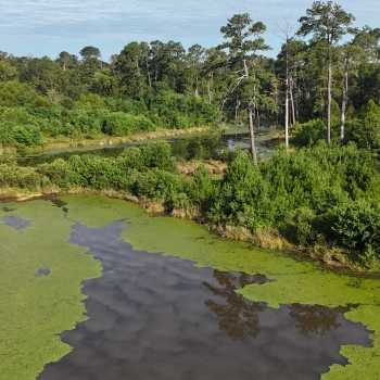 58 Acres - 8309 Brantley Hwy - Crenshaw County
