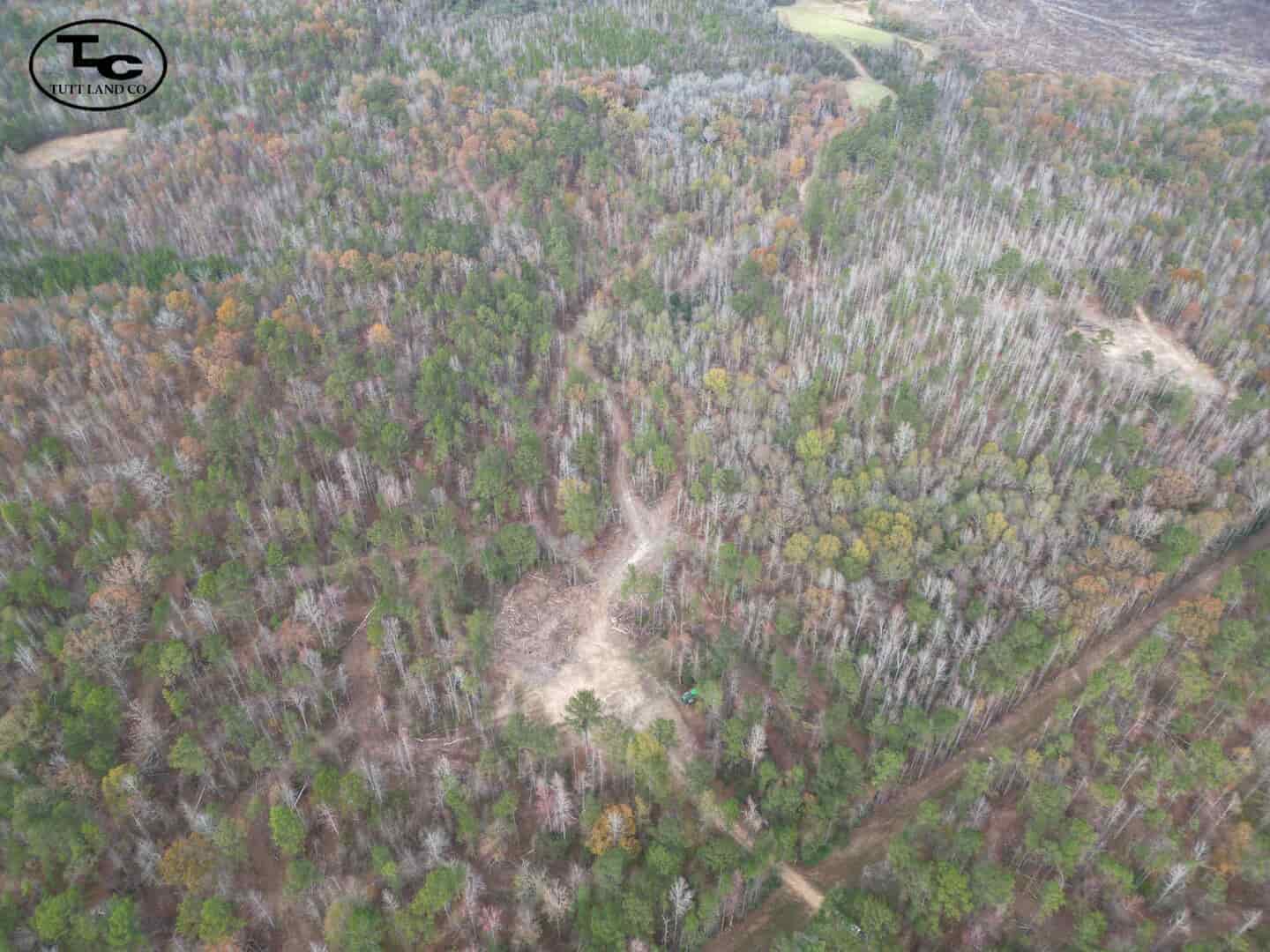 Adams Road Tract WM27.jpg