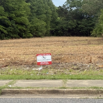 8.1 +/- Acres - Marengo County, AL- Sneed Property