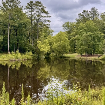 10.28 Acres - Jefferson County, AL - War Eagle Drive