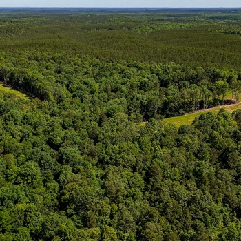 940+/- acres - McNairy County - Wolf Pen Rd