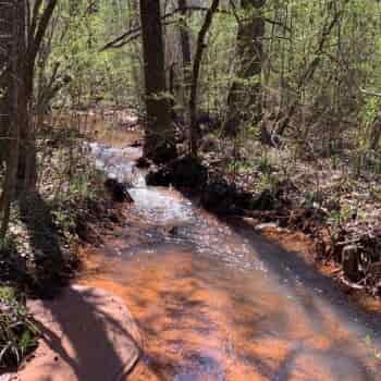 98 Ac- Coffee County, AL- Indigo Creek Tract