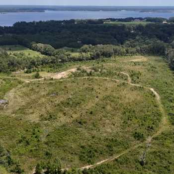 33+/- acres - Henry County, AL - Gin Branch Tract