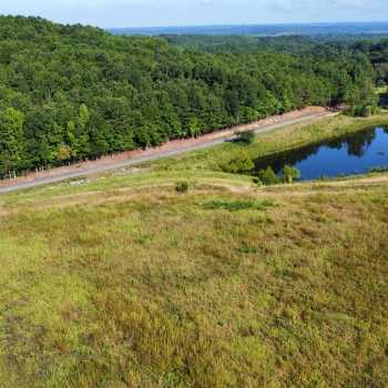 78 +/- Ac - Jefferson County, AL - Old Mt. Olive Road 78