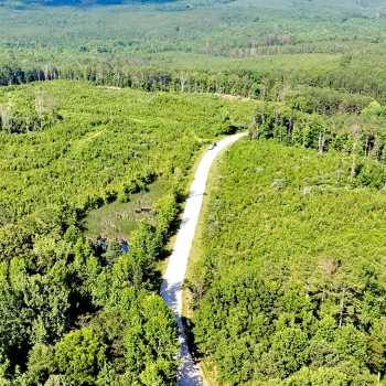54 Acres-Winston County-Hwy 13 Tract