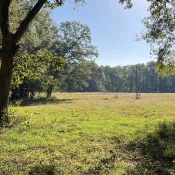 8.4 ac- Crenshaw County- McDowell/Newsom Tract