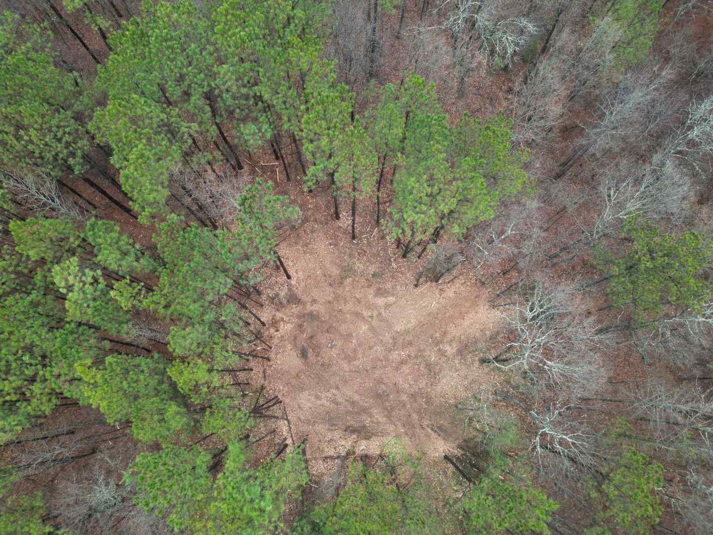dji_fly_20240103_224752_649_1705102081577_photo.JPG