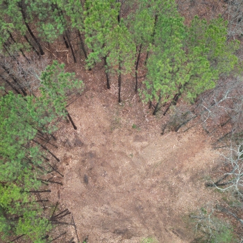 13+-Acres - Coosa County, AL - Timber Investment / Homesite Tract