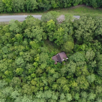 20 +/- Acres - Lamar County - Rustic Cabin Tract