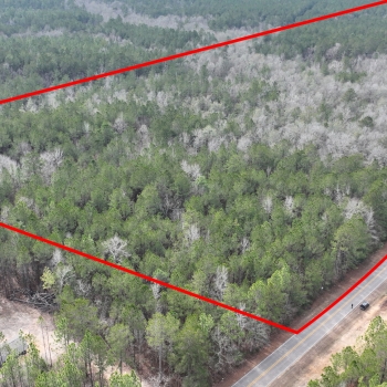 31+/- Acres - Lamar County, MS - Burnt Reed Brake Tract