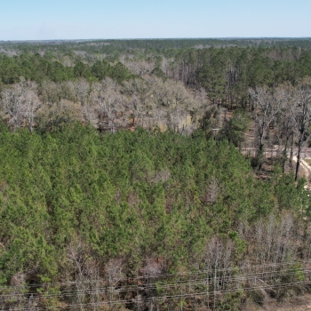 70 +/- acres - Madison County - Greenville Hunting Tract