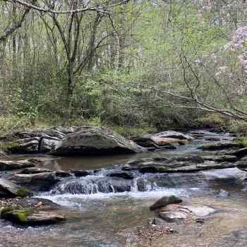 96 acres - Macon County - Wolf Creek Tract