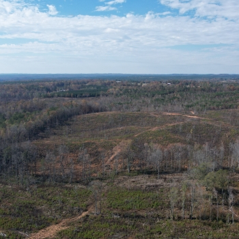 54 acres - Clay County - County Line South Tract