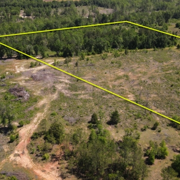 21+/- acres - Dale County - Ammons Pond East Parcel 3