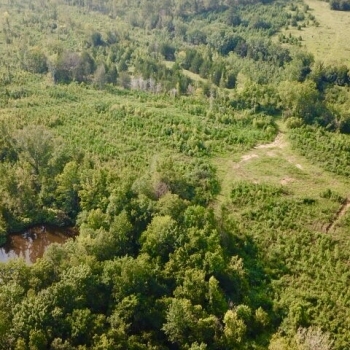 116 Acres-Wilcox County-Allenton Rd. Tract
