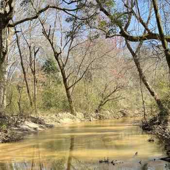 72 +/- Acres - Elmore County - Wallahatchee Creek