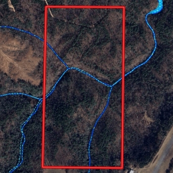 80 Acres-Winston County-Airport Tract