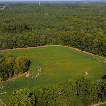 125.84 acres - Carroll Co - Marlboro Tree Farm