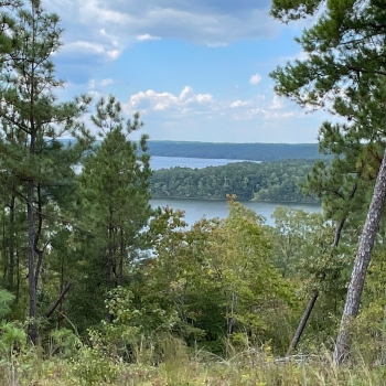 57 +/- Acres - Coosa County, AL - Lake Mitchell Tract