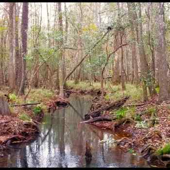 69 Acres - Mobile Co. - Highway 45 Tract