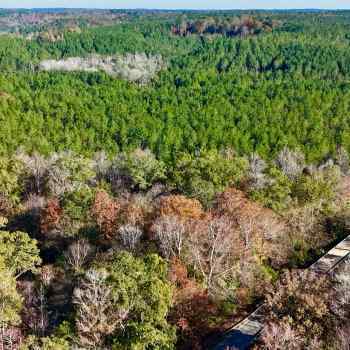 487 Acres-Sumter County-Alamuchee Creek Tract