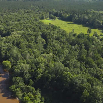 Buckatunna Creek Tract-343ac-Clarke County MS