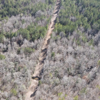 Willow Road Tract-42ac-Choctaw Co., AL