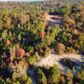 IMPROVED - 50 +/- Acres - Tuscaloosa County - Freeman Tract South