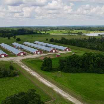 23 Ac- Geneva County, AL- Dakota Chick Broiler Farm