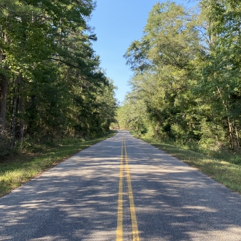 33 Acres - Conecuh Co. - Panther Creek Road Tract