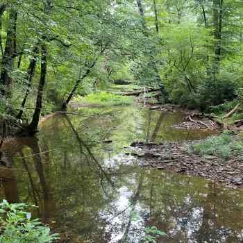 83 +/- Acres - Walker County, AL - Blue Water Creek Tract