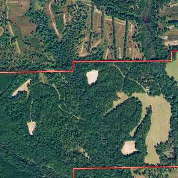 394 acres - Macon County - Highway 2 Tract