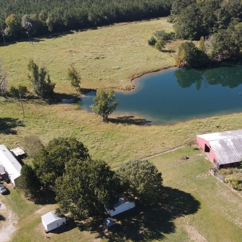 11 Acres - Montgomery County - Drivas Farm
